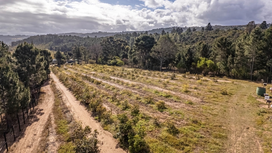 Commercial Property for Sale in Rondevlei Western Cape